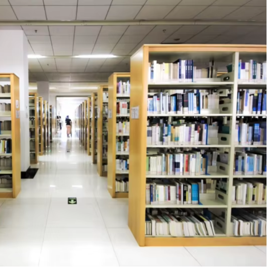 Factory Direct Double-Sided Bo - Home Office And Library 评论和价格